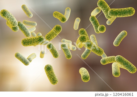 Rod shaped bacteria Rod shaped bacteria 120416061