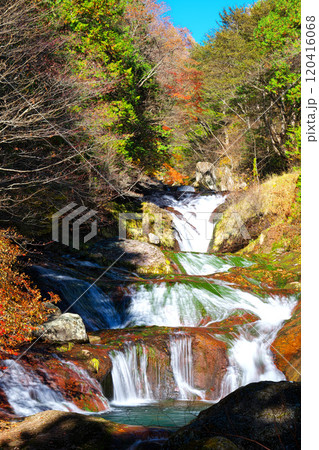 秋のおしどり隠しの滝 120416068