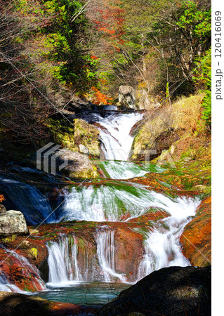 秋のおしどり隠しの滝 秋のおしどり隠しの滝 120416069