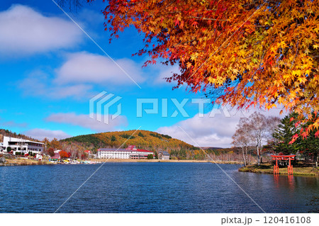 白樺湖の秋 120416108