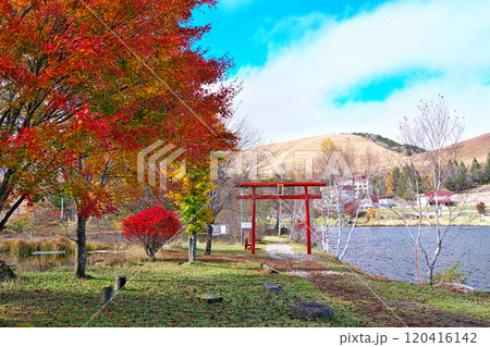 白樺湖の秋 120416142