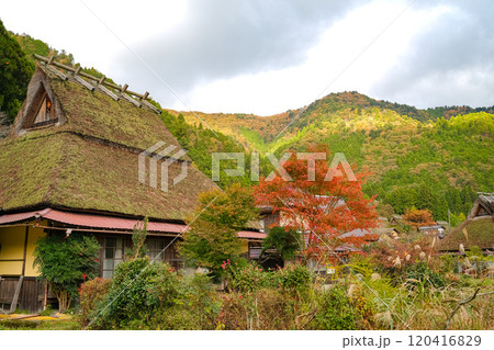 美山 かやぶきの里 秋景色 美山 かやぶきの里 秋景色 120416829