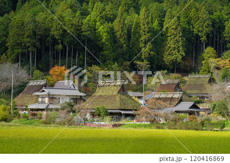 美山 かやぶきの里 秋景色 美山 かやぶきの里 秋景色 120416869