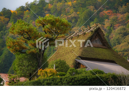 美山　かやぶきの里　秋景色 120416872