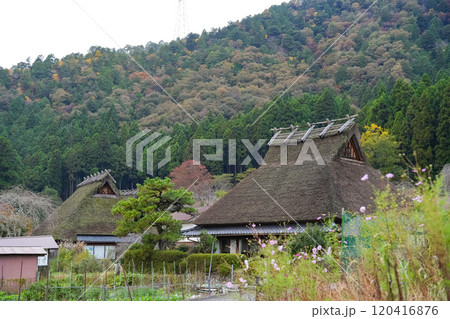 美山 かやぶきの里 秋景色 美山 かやぶきの里 秋景色 120416876