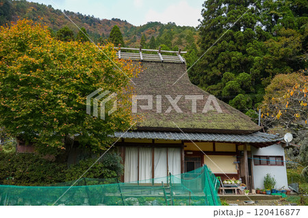美山 かやぶきの里 秋景色 美山 かやぶきの里 秋景色 120416877