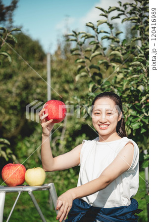 りんご園でりんごを収穫する女性 120416989