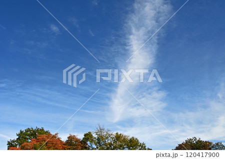 晩秋の空に巻雲 120417900