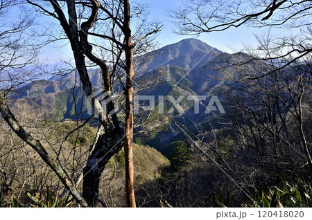 道志山塊の日向峰の森からの展望　日本二百名山の御正体山 120418020