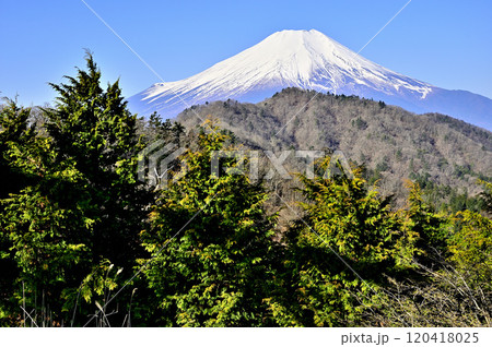 道志山塊の奥ノ岳　送電鉄塔からの富士山の展望 120418025