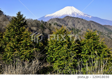 道志山塊の奥ノ岳にある送電鉄塔の展望台から雪景色の富士山 道志山塊の奥ノ岳にある送電鉄塔の展望台から雪景色の富士山 120418030