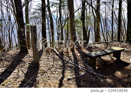 道志山塊の御正体山南尾根　ベンチのある前ノ岳山頂 120418036