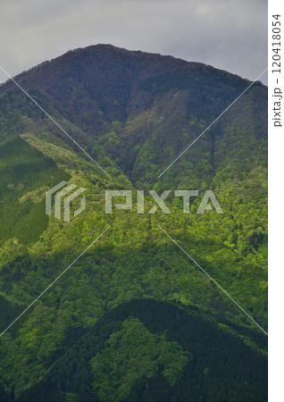 丹沢の袖平山 袖平山北尾根より望む 日差しが新緑の大室山を照らす 丹沢の袖平山 袖平山北尾根より望む 日差しが新緑の大室山を照らす 120418054