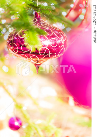 クリスマス・冬 イメージ クリスマス・冬 イメージ 120418213