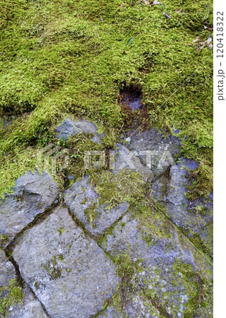 苔の生えた石垣、古い擁壁 120418322