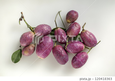 秋の味覚自然の甘み郁子 120418363