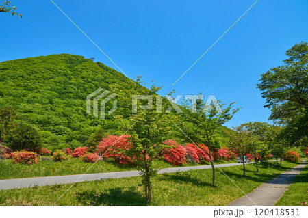 春の群馬県高崎市の榛名公園付近からツツジと榛名富士を見る 春の群馬県高崎市の榛名公園付近からツツジと榛名富士を見る 120418531