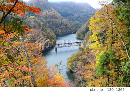紅葉する 只見線　第三只見川橋梁／福島県大沼郡三島町 120418634