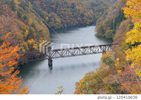 紅葉する 只見線 第三只見川橋梁/福島県大沼郡三島町 紅葉する 只見線 第三只見川橋梁/福島県大沼郡三島町 120418636