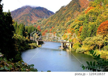 只見線 第四只見川橋梁と紅葉／福島県大沼郡金山町 120418637