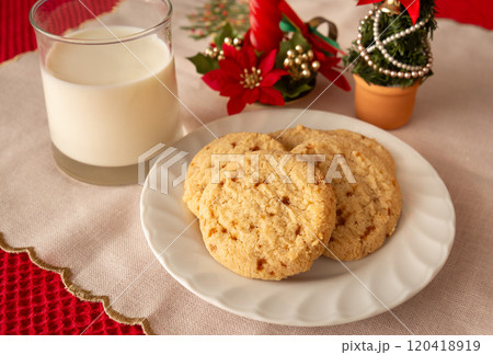 クッキーとミルクでサンタにお礼 サンタクロースにおもてなし クリスマス クッキーとミルクでサンタにお礼 サンタクロースにおもてなし クリスマス 120418919