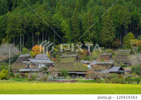 美山 かやぶきの里 秋景色 美山 かやぶきの里 秋景色 120419163