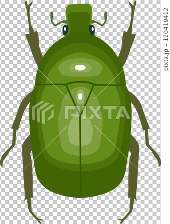 Illustration of a canabun seen from directly above Illustration of a canabun seen from directly above 120419412