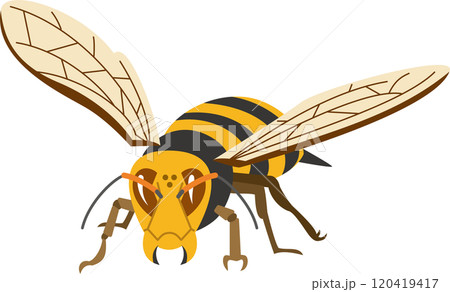 スズメバチのイメージイラスト スズメバチのイメージイラスト 120419417