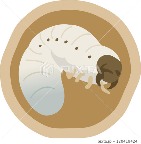 土の中にいる幼虫のイメージイラスト 120419424