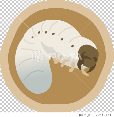 土の中にいる幼虫のイメージイラスト 120419424