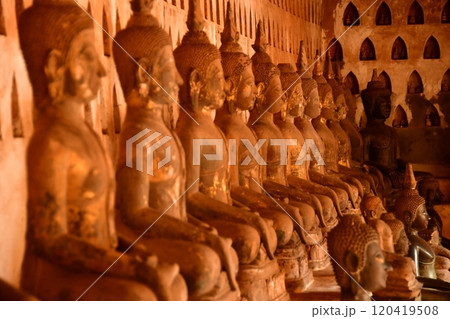 仏像 120419508