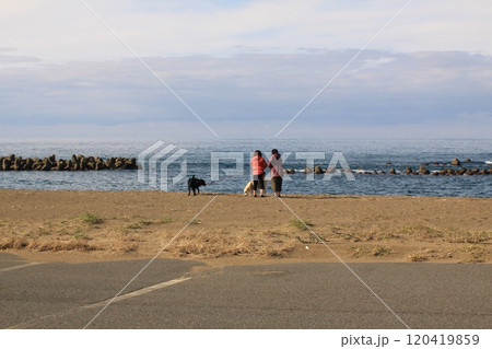 犬と砂浜を散歩する二人 120419859