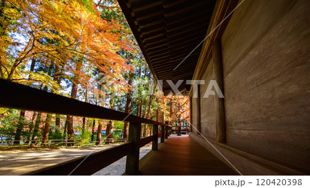 世界遺産中尊寺の朝 経蔵と紅葉するモミジ 岩手県 世界遺産中尊寺の朝 経蔵と紅葉するモミジ 岩手県 120420398