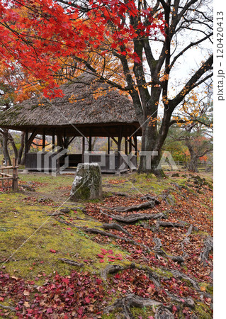 小諸城址公園の紅葉 120420413