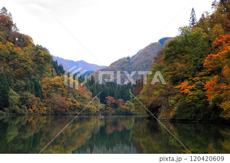 只見川 霧幻峡の渡し/福島県大沼郡金山町 只見川 霧幻峡の渡し/福島県大沼郡金山町 120420609
