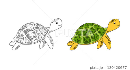 Cute turtle, color and outline cartoon sea animal for children. Vector line nautical illustration for coloring book and page Cute turtle, color and outline cartoon sea animal for children. Vector line nautical illustration for coloring book and page 120420677