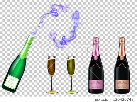Sake bottle illustration set 120420748