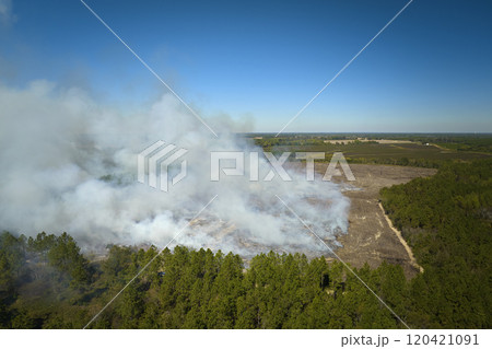 View from above of dense smoke from woodland and field on fire rising up polluting air. Concept of natural disaster 120421091