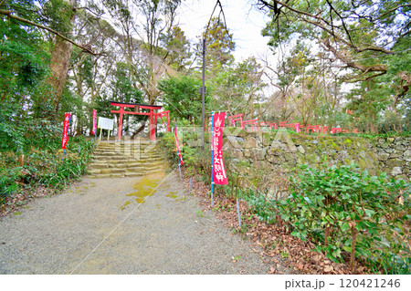 県指定史跡「伊勢田丸城」の石垣と曲輪の風景 県指定史跡「伊勢田丸城」の石垣と曲輪の風景 120421246