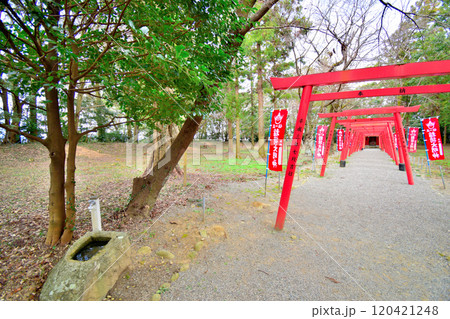 県指定史跡「伊勢田丸城」の石垣と曲輪の風景 県指定史跡「伊勢田丸城」の石垣と曲輪の風景 120421248