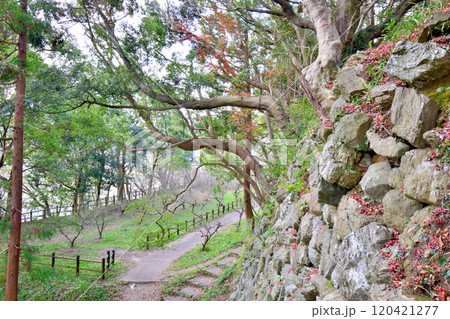 県指定史跡「伊勢田丸城」の石垣と曲輪の風景 120421277