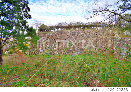 県指定史跡「伊勢田丸城」の石垣と曲輪の風景 120421288