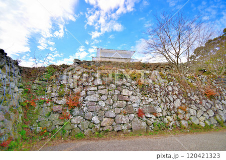 県指定史跡「伊勢田丸城」の石垣と曲輪の風景 120421323