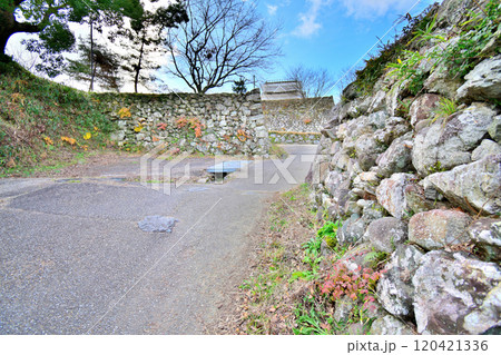 県指定史跡「伊勢田丸城」の石垣と曲輪の風景 県指定史跡「伊勢田丸城」の石垣と曲輪の風景 120421336