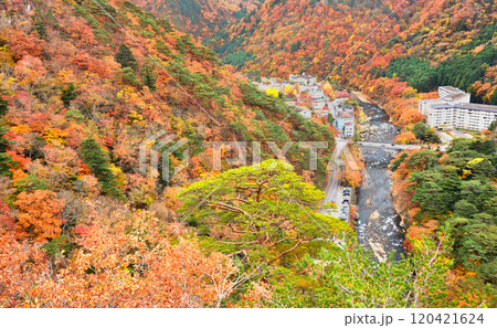栃木県那須塩原市　秋の紅葉に染まる塩原温泉の風景 120421624