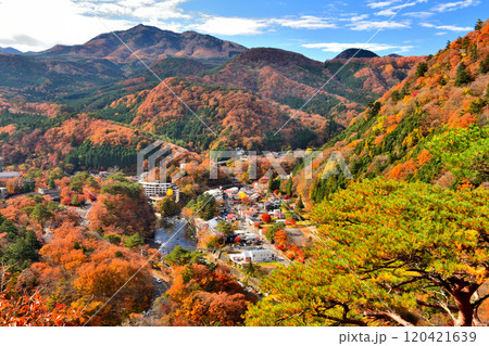 栃木県那須塩原市　秋の紅葉に染まる塩原温泉の風景 120421639