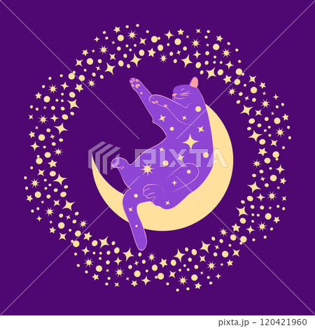 Mystical cat in boho style surrounded by stars, zodiac signs, balls, paw prints, silhouette collection. Esotericism and mysticism, occultism. Cartoon flat vector illustrations 120421960