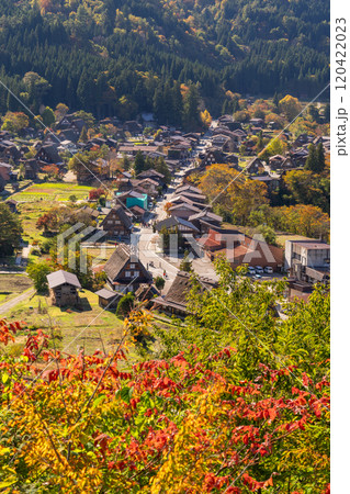 《岐阜県》秋の白川郷・紅葉の合掌造り集落 120422023