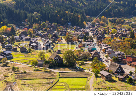 《岐阜県》秋の白川郷・紅葉の合掌造り集落 120422038