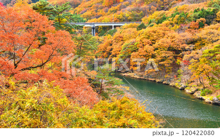 栃木県日光市 秋の紅葉に染まる川治温泉の風景 栃木県日光市 秋の紅葉に染まる川治温泉の風景 120422080
